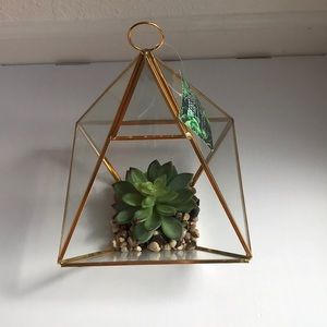 Glass Terrarium With Succulents And River Rocks